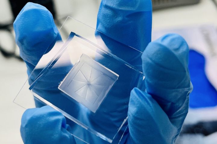 A gloved hand holding a small clear square plate with a faint spiral pattern at its center.