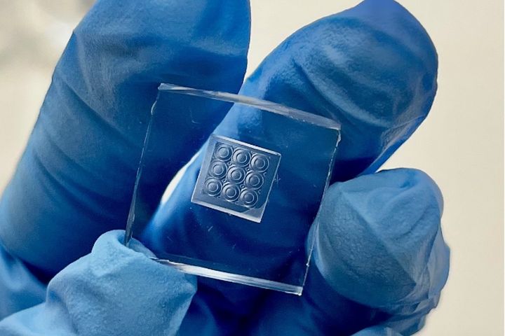 A gloved hand holding a small clear plate with a three-by-three array of round lenses.