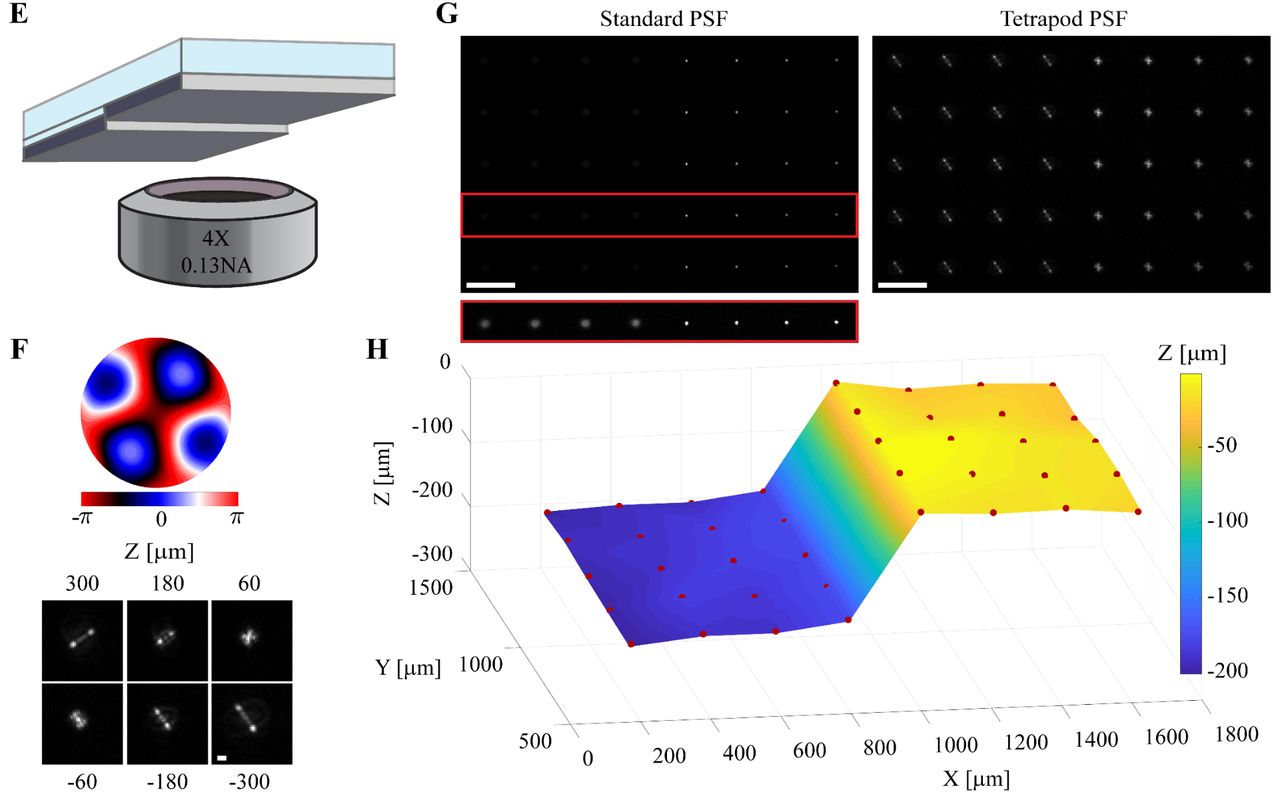 Four panels. E: a stepped sample above a 4×, 0.13 NA objective. F: a phase mask pattern and six calibrated spot shapes at heights from +300 to −300 micrometers. G: an array of spots through a standard aperture and through the mask. H: the reconstructed surface, two flat levels about 200 micrometers apart joined by a slope.