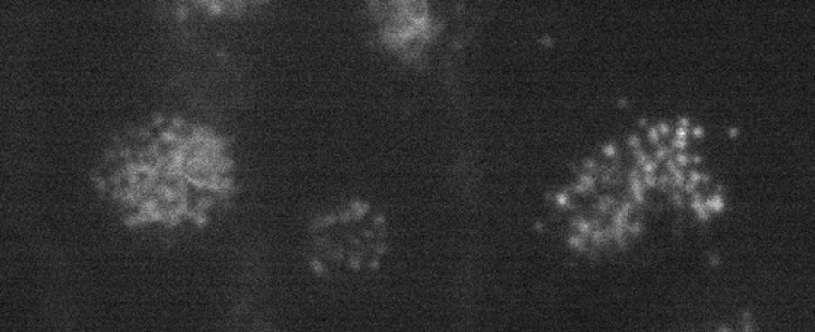 The same three clusters. The individual dots are resolved in all of them.